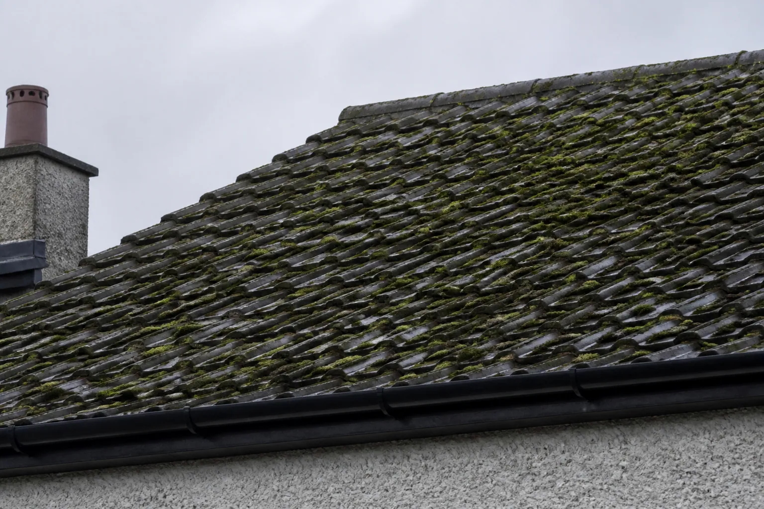 Patchy moss along the grooves and overlaps of a wet concrete-tiled roof, viewed from the ground.