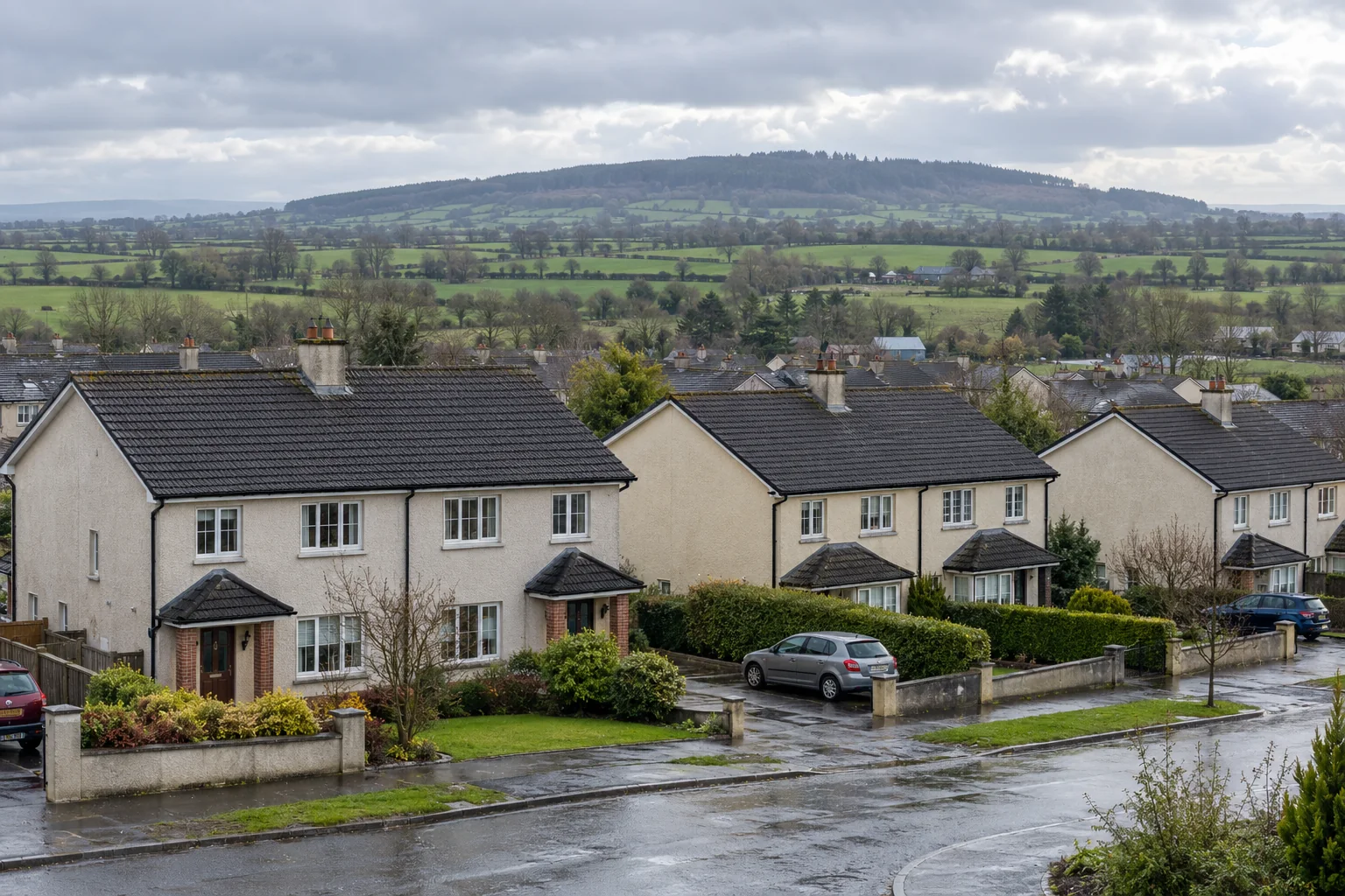 Rendered Irish housing-estate homes with dark tiled roofs overlook green Laois-style farmland after rain.
