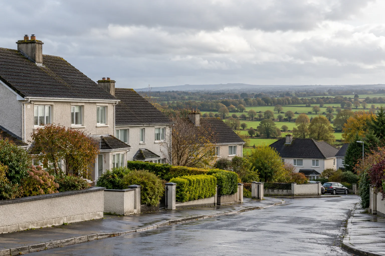 Ordinary rendered Irish homes with dark tiled roofs beside a wet commuter-town street and green fields.