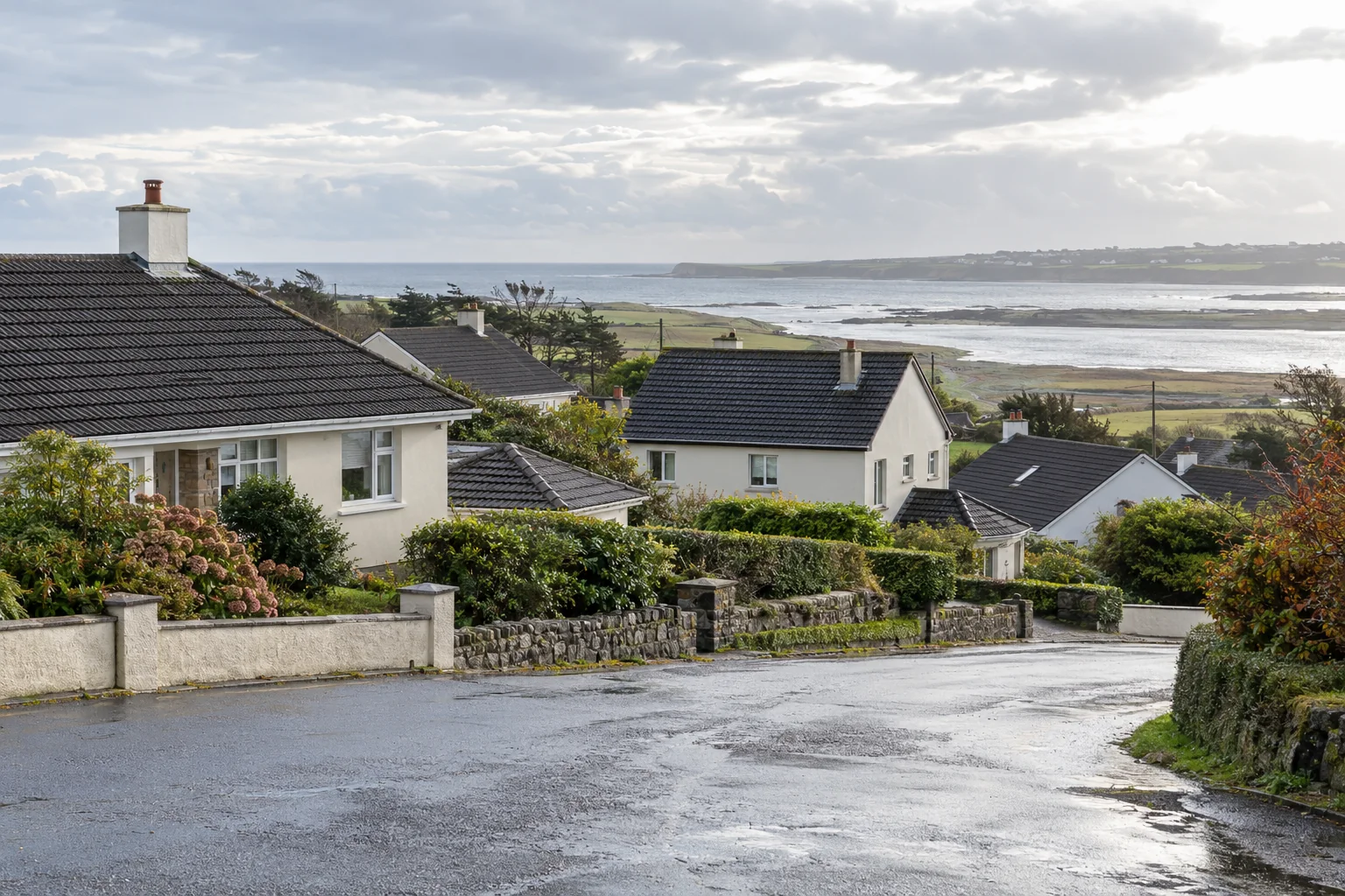 Rendered Irish homes with dark tiled roofs overlooking a rain-washed coastal plain.
