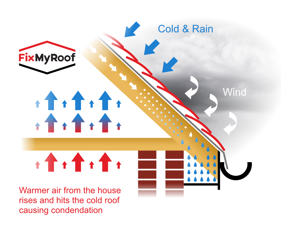 Importance of Fascia and Soffit to your Roof and heat of your house