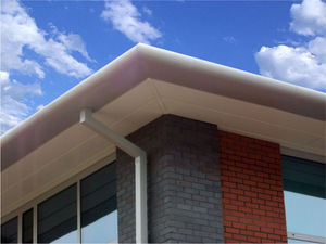 Fascia Repair or Replacement